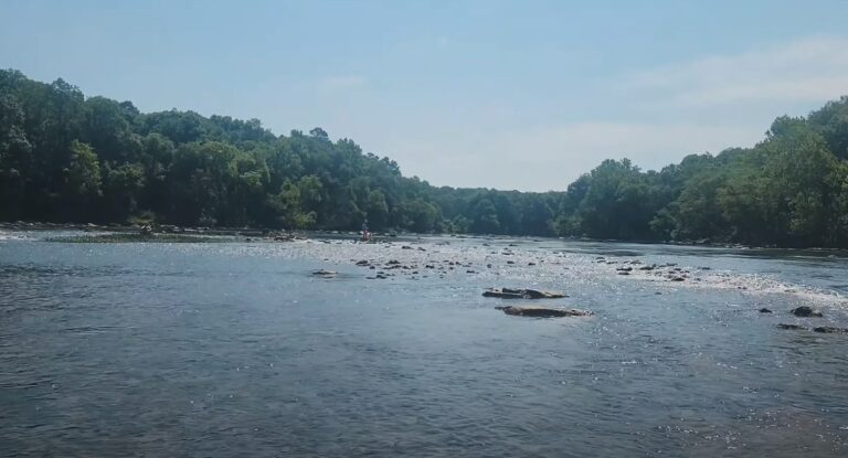 Guide to Fishing the Lower Etowah River - Maximize Your Success ...